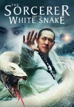 The Sorcerer and the White Snak  (2011)